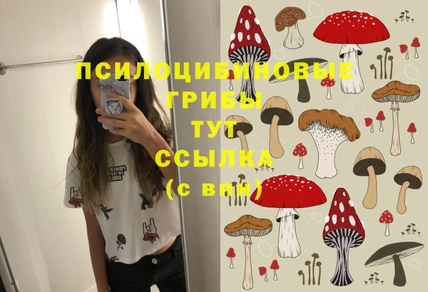 скорость Алексин