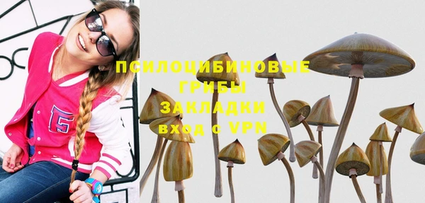 скорость Алексин